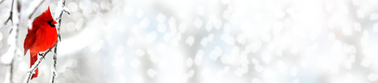 A community of homeschooling families